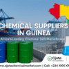 Chemical Suppliers in Guinea